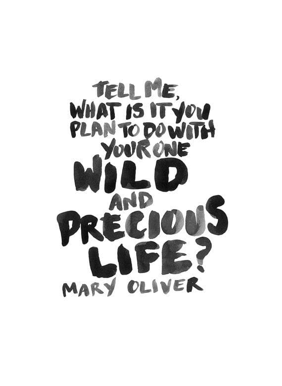 Resources 12x18 print mary oliver quote etsy uk